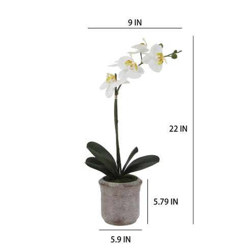 22" Artificial White Phalaenopsis Orchids, Set of 2