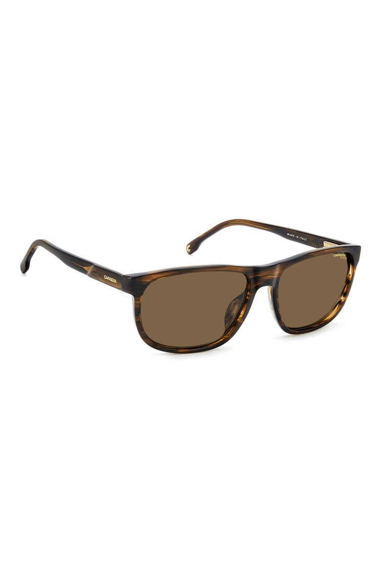 C Flex 58mm Polarized Rectangle Sunglasses, Alternate, color, BROWN HORN