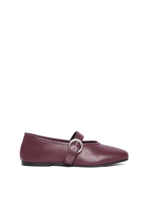 Maguire Aveiro Ballerina In Burgundy