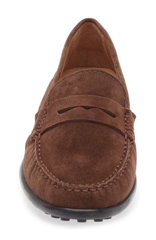 The Flexx Winter Driving Shoe In Brown
