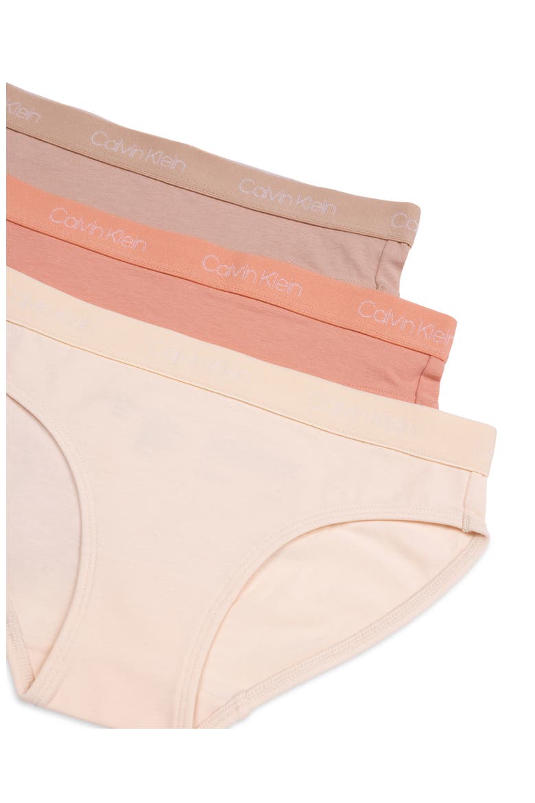 Kids' Assorted 3-Pack Bikini Briefs, Alternate, color, SAND/ RDWN/ CEDAR