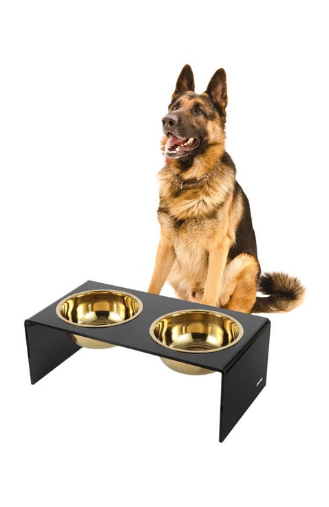 Keaton Modern Lucite Rectangular Elevated Pet Feeder with 2-Stainless Steel Bowls