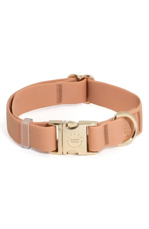 Cloud Waterproof Dog Collar