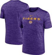 Nike Men's Nike Purple LSU Tigers 2025 Sideline Velocity Performance T-Shirt