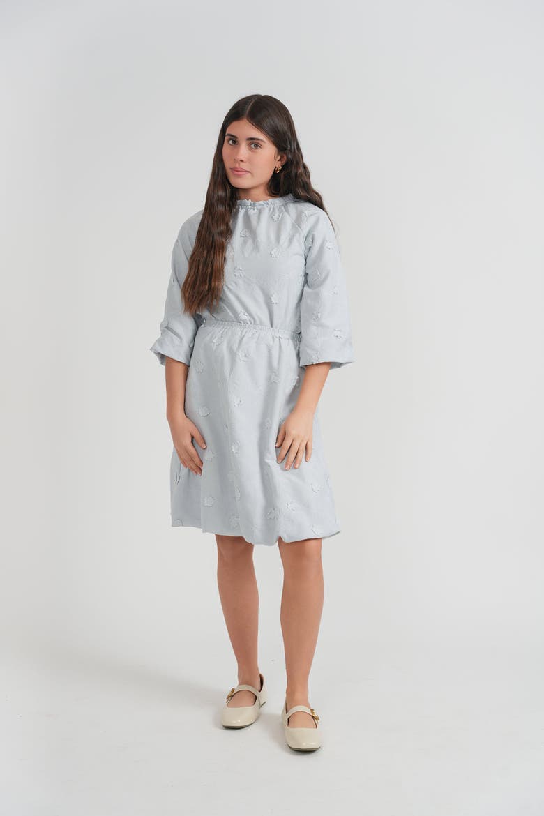 Floral Embroidery Applique Ruffle Neckline Shirred Blouse and Skirt Set, Alternate, color, Ivory