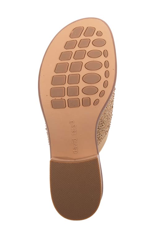 David Tate Premium Slide Sandal In Gold