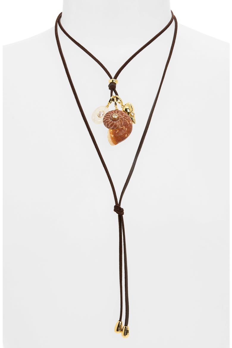 Area Charm Lariat Necklace, Alternate, color, BROWN MULTI