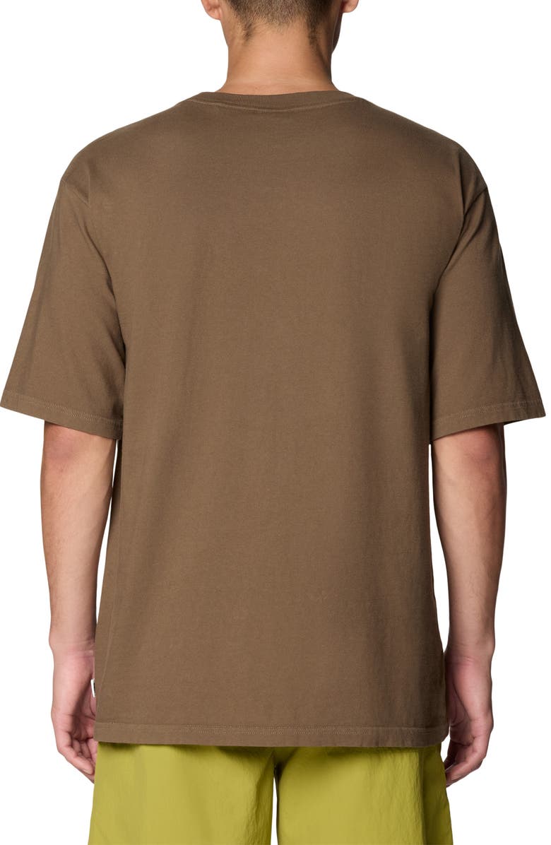 Mountain Hardwear x Extra Vitamins Enlightened Experiences Cotton Graphic T-Shirt, Alternate, color, Tierra