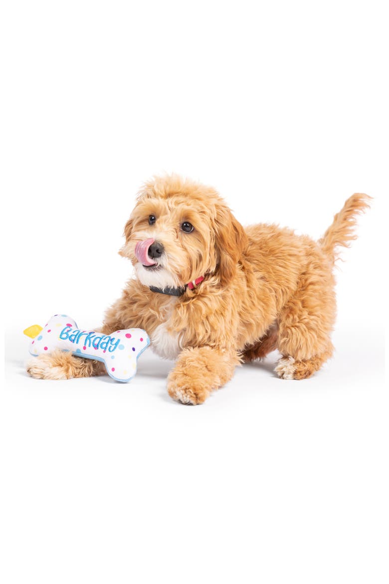Tiny Tuff It's My Barkday Dog Toy, Alternate, color, BLUE