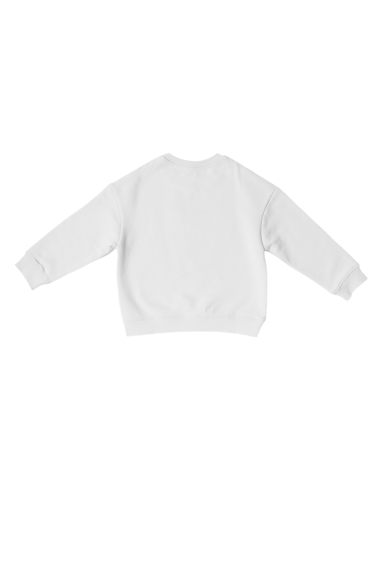 Birthday Boy Sweatshirt, Alternate, color, White/Blue