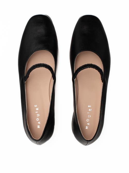 Maguire Pisa Ballerina In Black