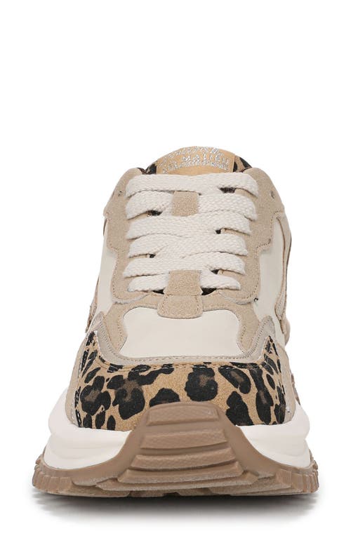 BLOWFISH MALIBU BLOWFISH MALIBU LEO TRAINER SNEAKER