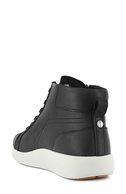 Strive Kensington High Top Sneaker In Black