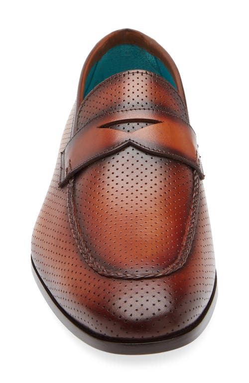 Mezlan Cueva Perforated Penny Loafer In Cognac Rust