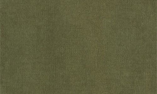Ag Curtis Classic Fit Button-up Work Shirt In Green