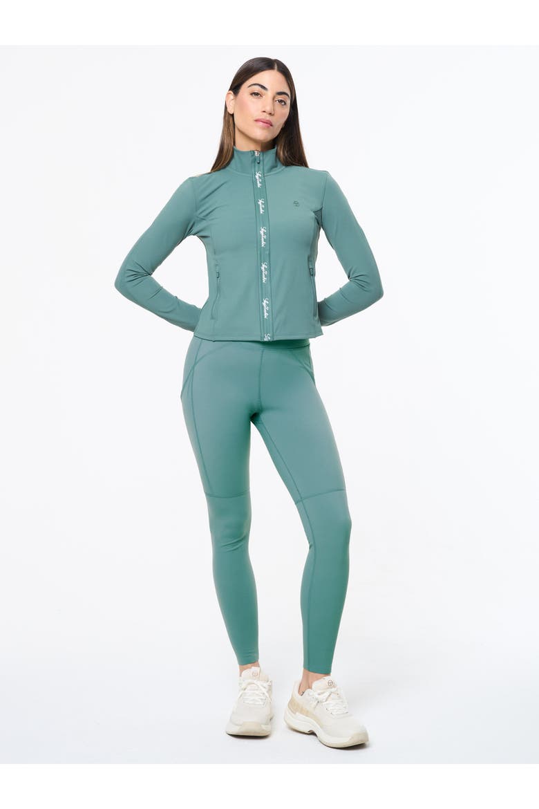 Delfina Contour Track Jacket, Alternate, color, PALE MAUVE