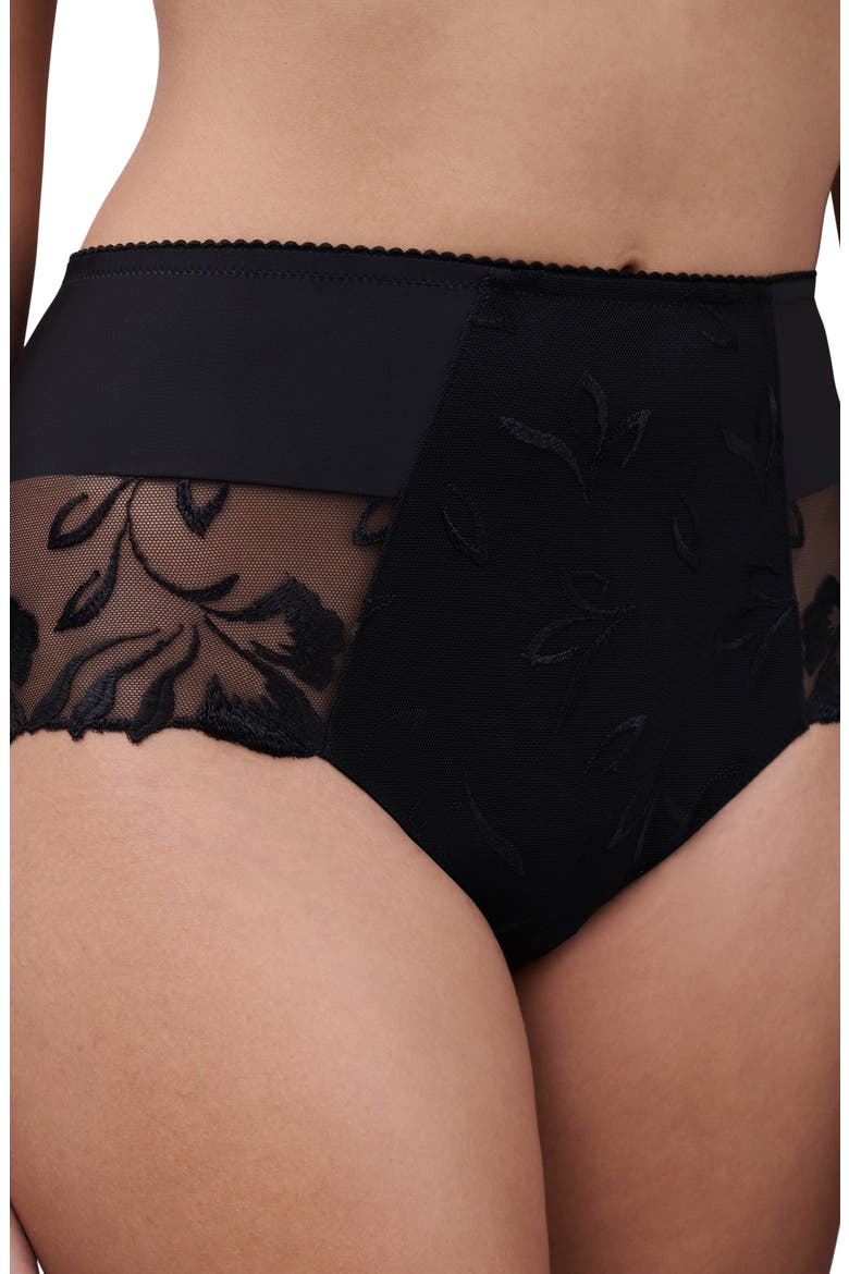 Majestic High Waist Support Briefs, Alternate, color, BLACK