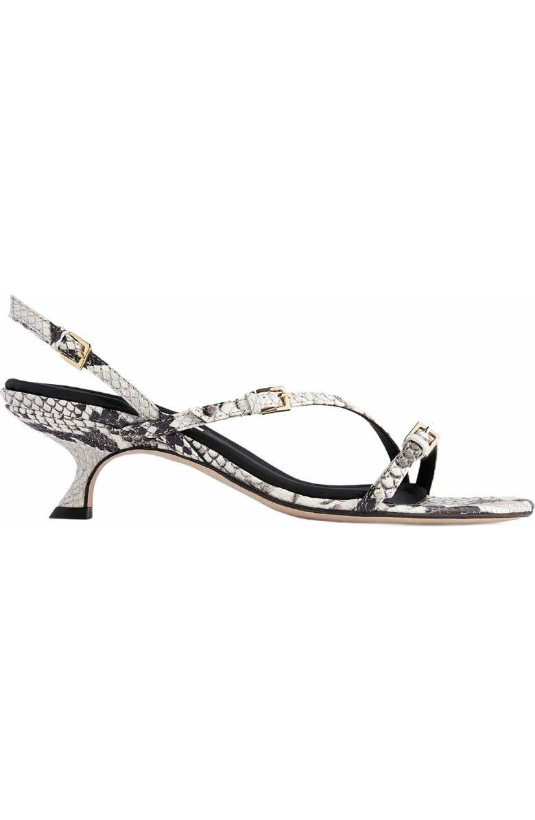 Neil J. Rodgers Janel Sandal, Main, color,