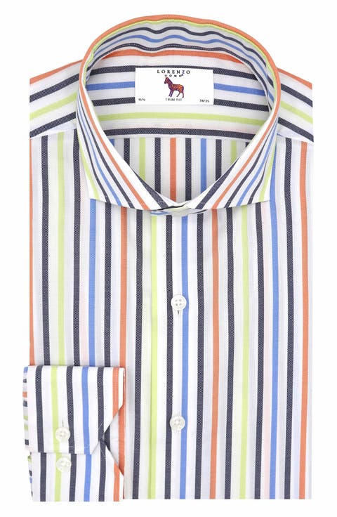 Trim Fit Stripe Dress Shirt
