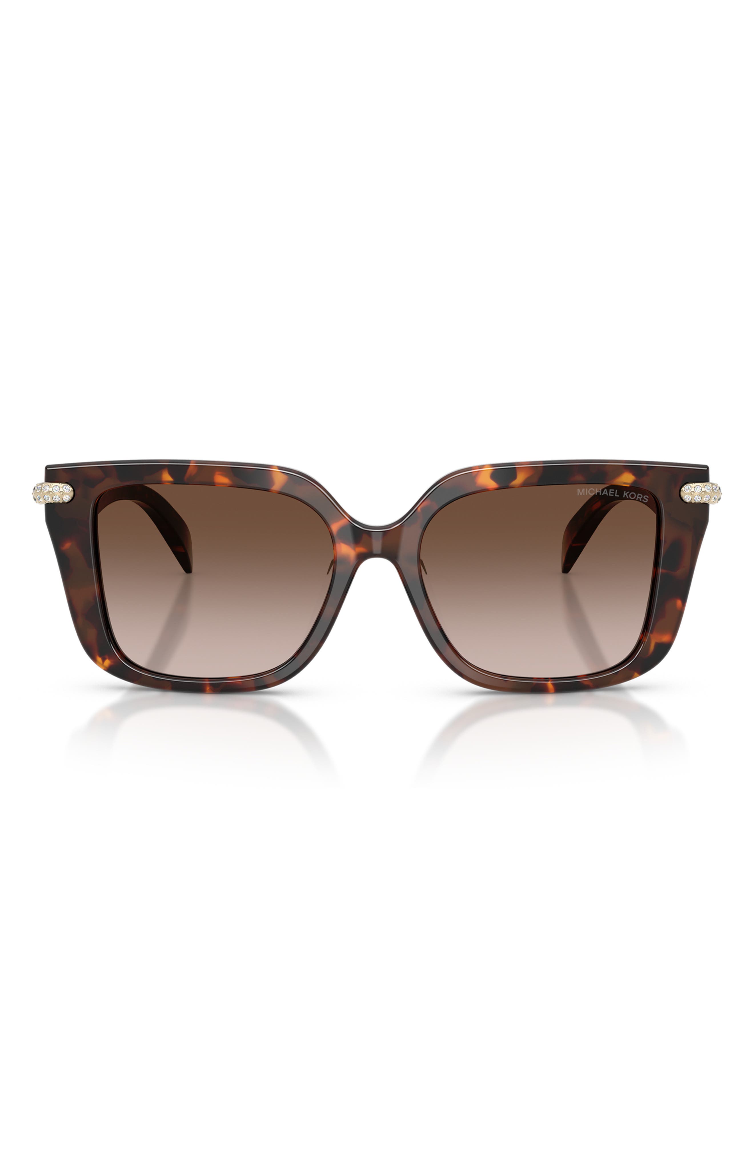 LUGGAGE TORTOISE / SMOKE GRADIENT BIO