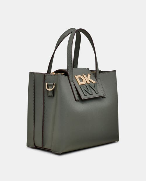Dkny Faye Small Satchel In Olive