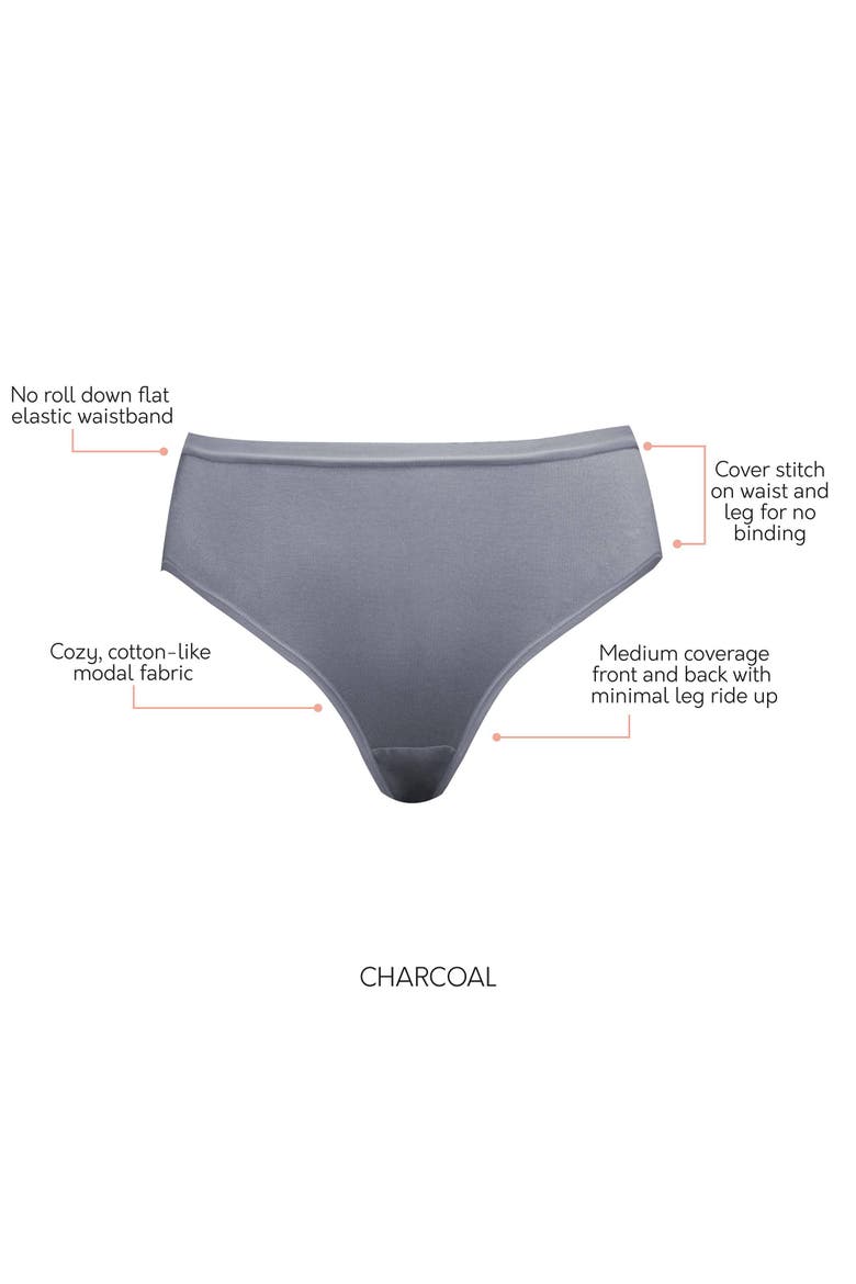 Cozy Hipster Briefs, Alternate, color, Charcoal
