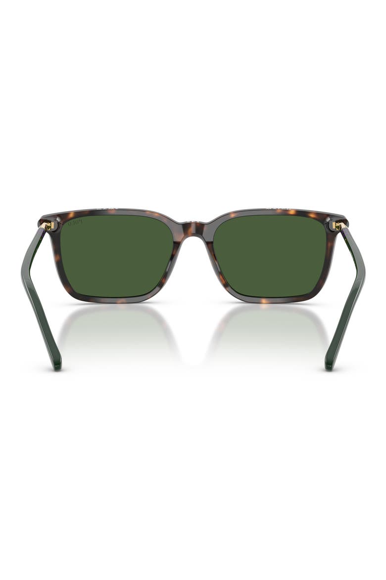 PH4226 56mm Pillow Sunglasses, Alternate, color, DARK HAVANA / BOTTLE GREEN