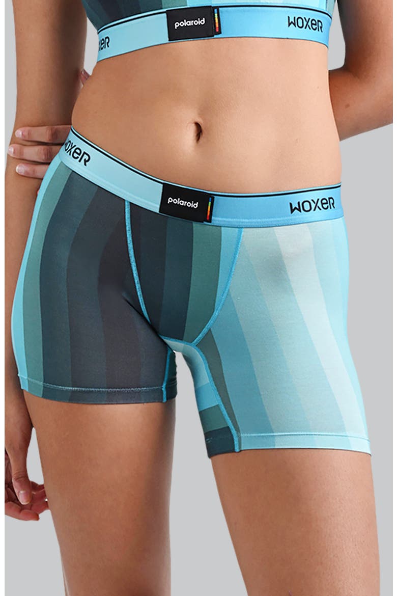 Baller Ultra-Soft 5-Inch Boxer Briefs, Main, color, RECLAIMED BLUE STRIPE