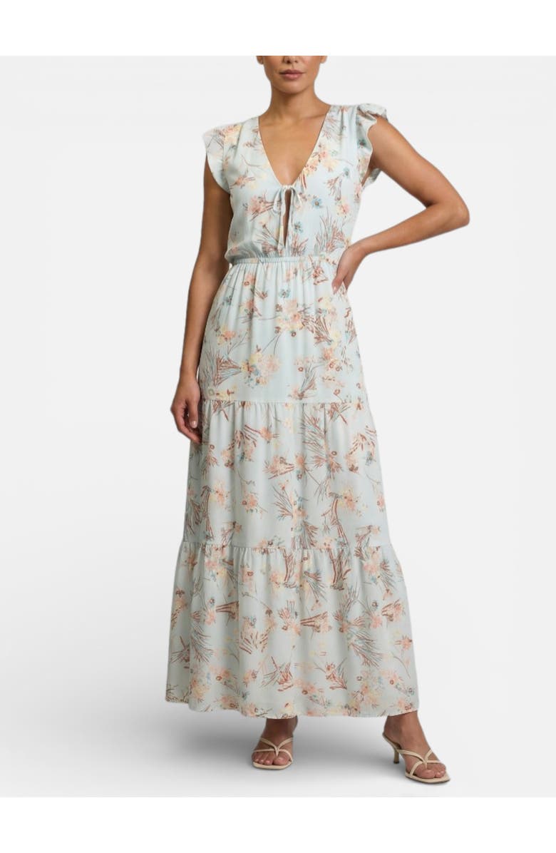 RACHEL Rachel Roy Short Flutter Sleeve Alice Maxi Dress, Main, color, Sky Floral