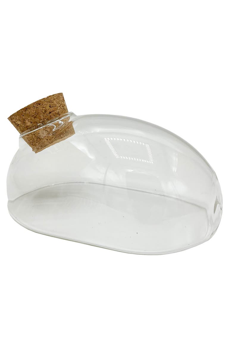 Mouse Glass Terrarium with Cork Lid, Main, color, Clear