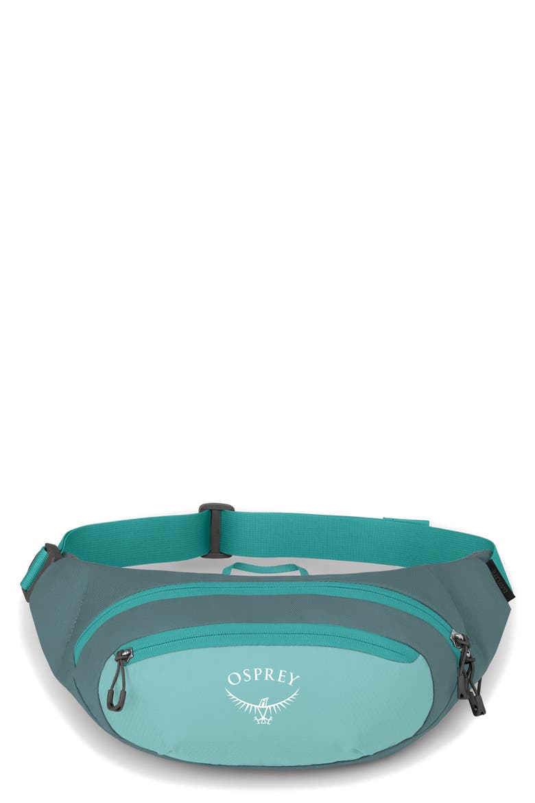 Daylite Waist Pack video