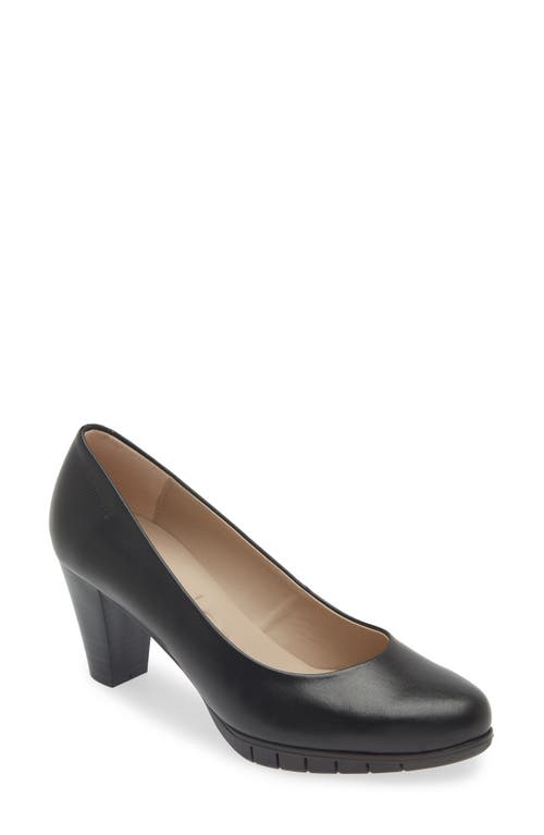 Wonders Classic Pump in Black Leather 