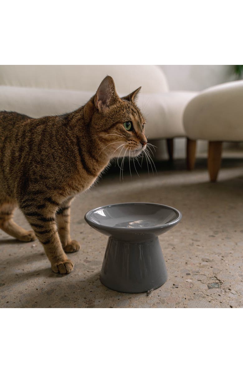 Dexypaws Flat Top Ceramic 7.5oz Cat Bowl, Alternate, color, Multicolored