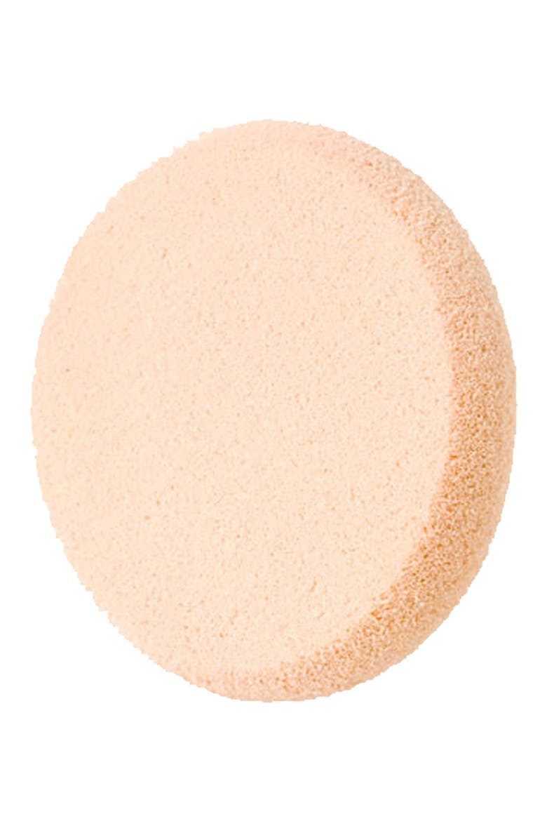 'Water Canvas' Sponge, Main, color, NO COLOR