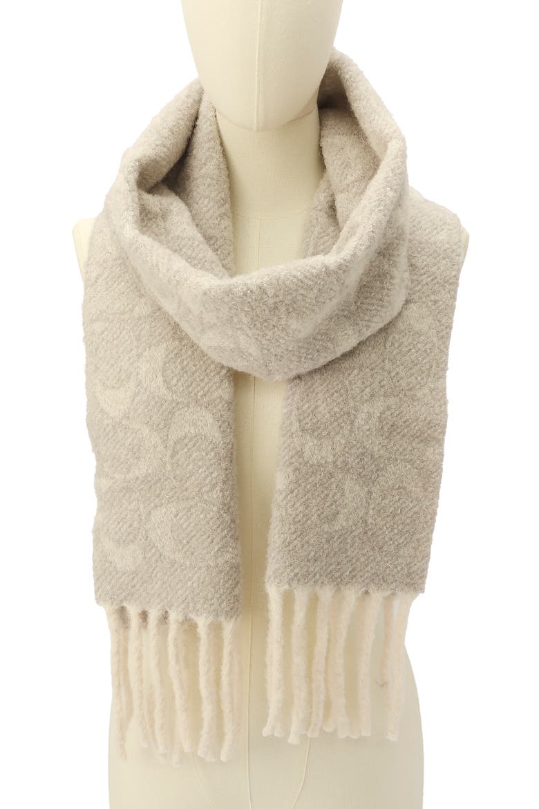 Signature Alpaca Blend Scarf, Alternate, color, CHALK