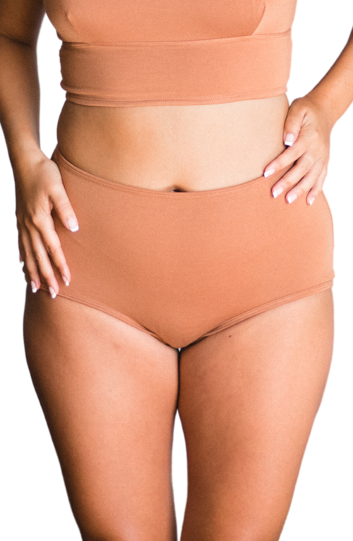Proclaim Organic Cotton High Rise Brief In Multi