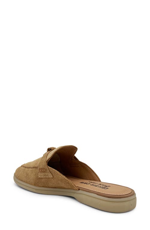 Shop Chelsea Crew Lasso Mule Loafer