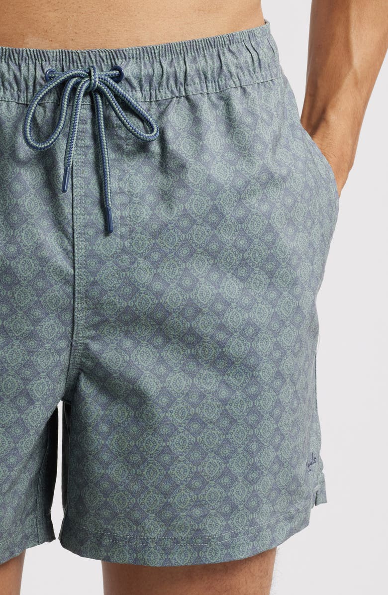 Rails La Brea Iridescent Swim Trunks, Alternate, color, 