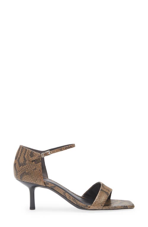 Nordstrom Stanton Ankle Strap Sandal In Brown