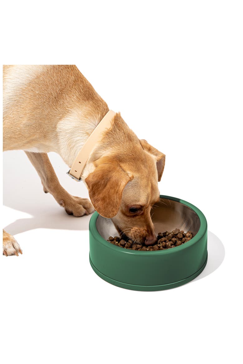 Pet Food Bowl, Main, color, SPRUCE