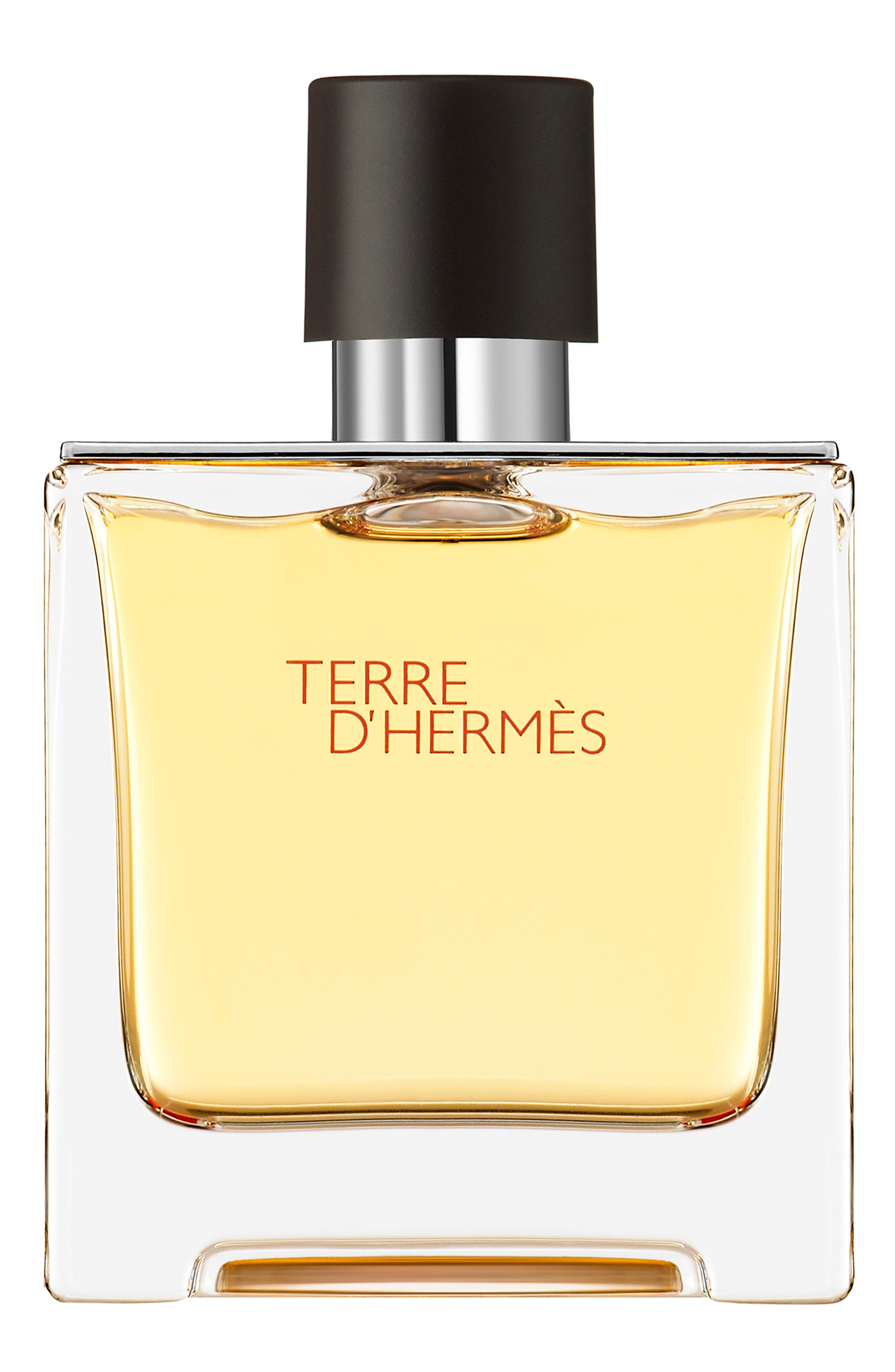 Hermès Terre d'Hermès - Pure Perfume (Men) | Nordstrom