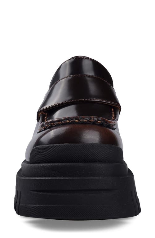 Zigi Orlana Platform Loafer In Brown