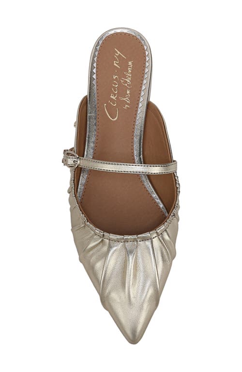 Circus Ny By Sam Edelman Larissah Pointed Toe Mule