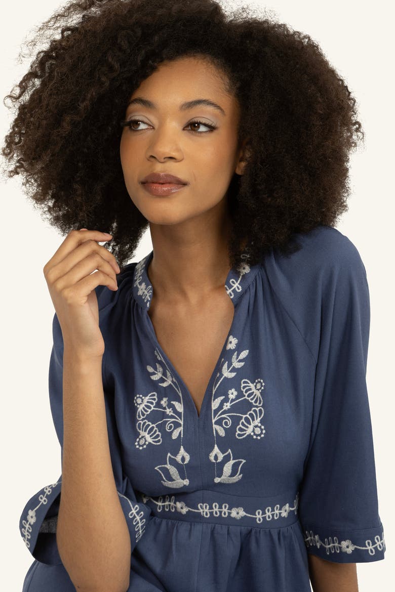 Roam Dress, Alternate, color, Blue with Off-White Embroidery