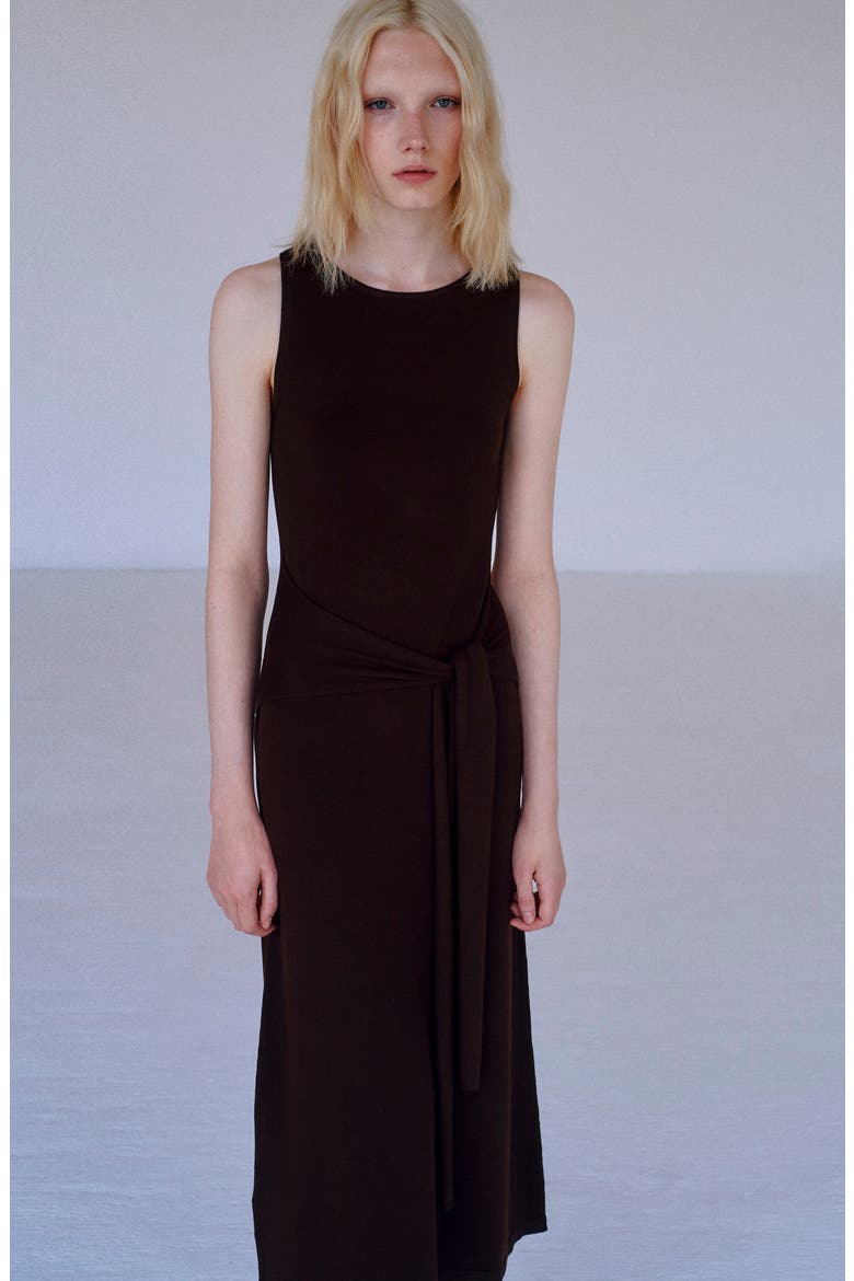 Tie Detail Sleeveless Knit Dress, Alternate, color, BROWN