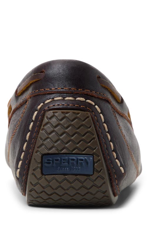 Sperry Davenport Driving Shoe In Amaretto