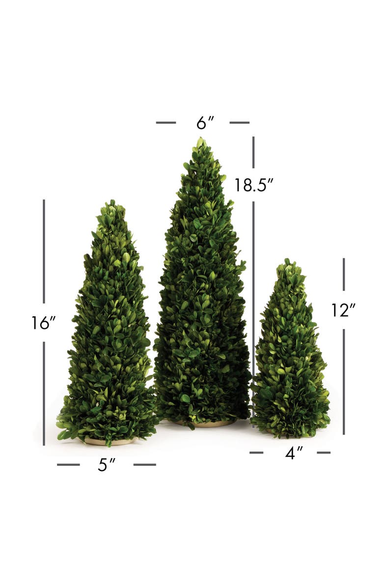 Napa Home & Garden Boxwood Mini Trees Set of 3, Alternate, color, Green