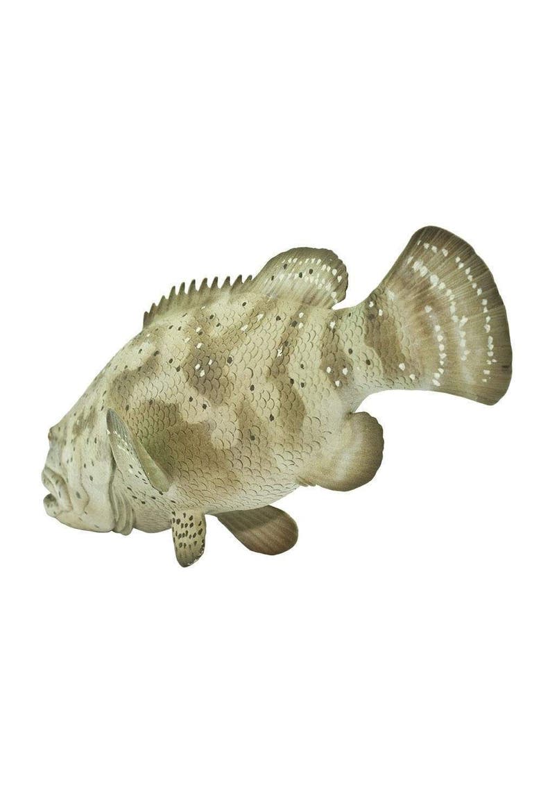 Goliath Grouper Toy, Alternate, color, No Color