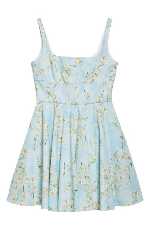 Emilia Wickstead Mini Mona Floral-print Cotton-poplin Mini Dress In Little Lillies On Blue