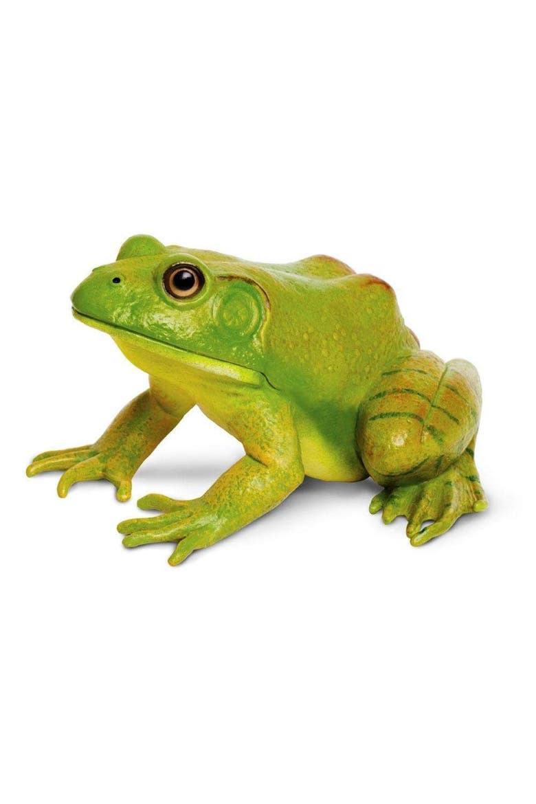 American Bullfrog Toy, Main, color, No Color
